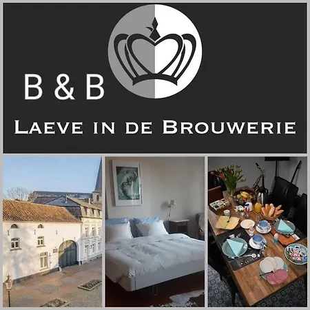 Laeve In De Brouwerie Oda ve Kahvaltı