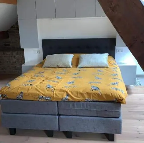 Laeve In De Brouwerie Bed & Breakfast Geleen